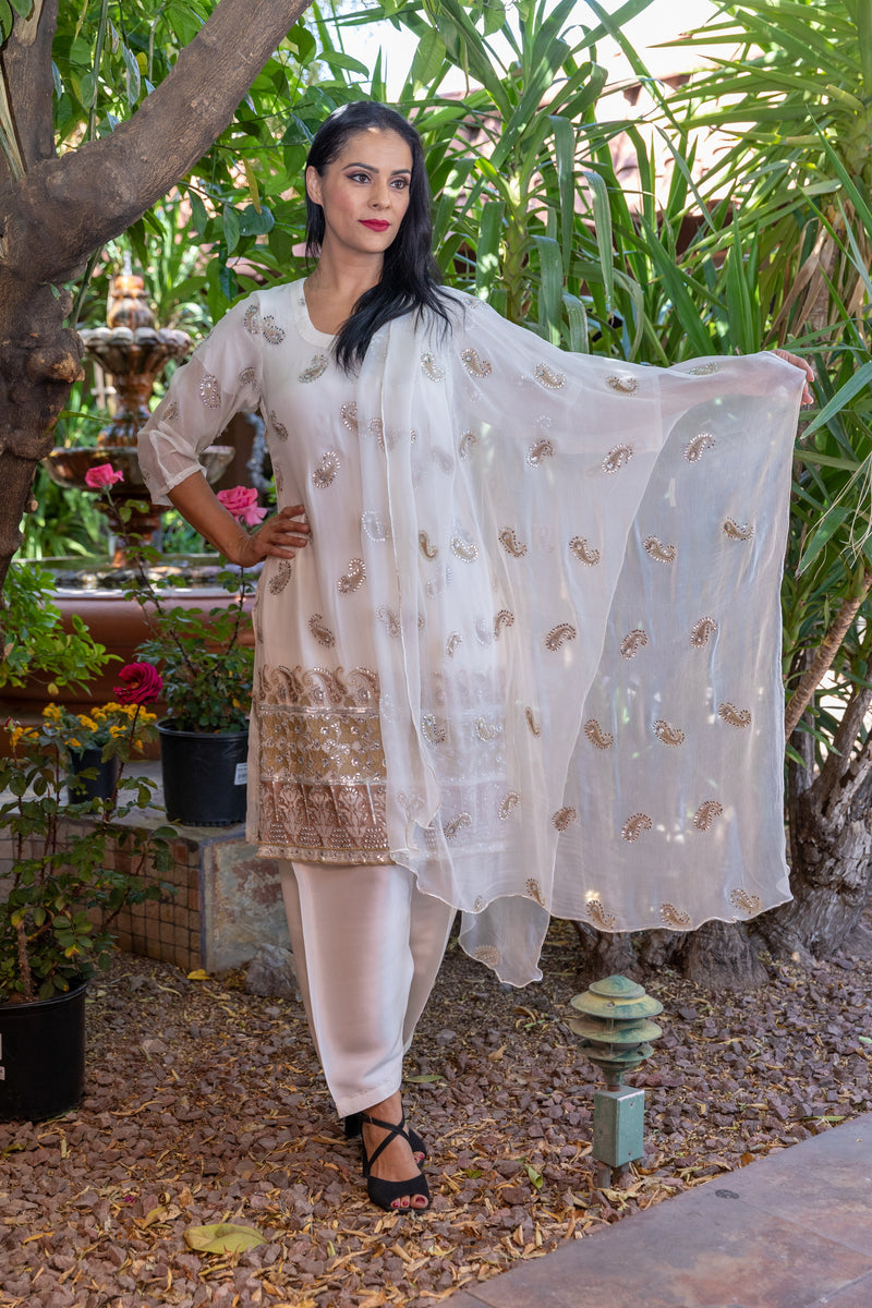 White Chiffon Embroidery Suit- Trendz & Traditionz Boutique