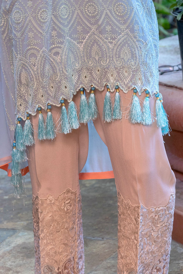 Light Blue Chiffon Suit by Sobia Nazir - Trendz & Traditionz Boutique 
