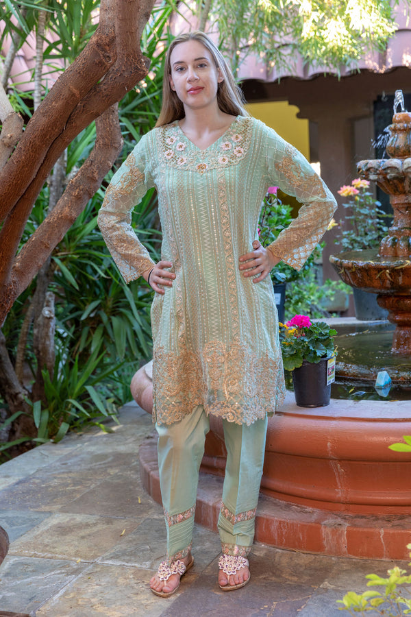 Sea Green Chiffon Salwar Kameez Suit with Gold Embroidery - Trendz & Traditionz Boutique 