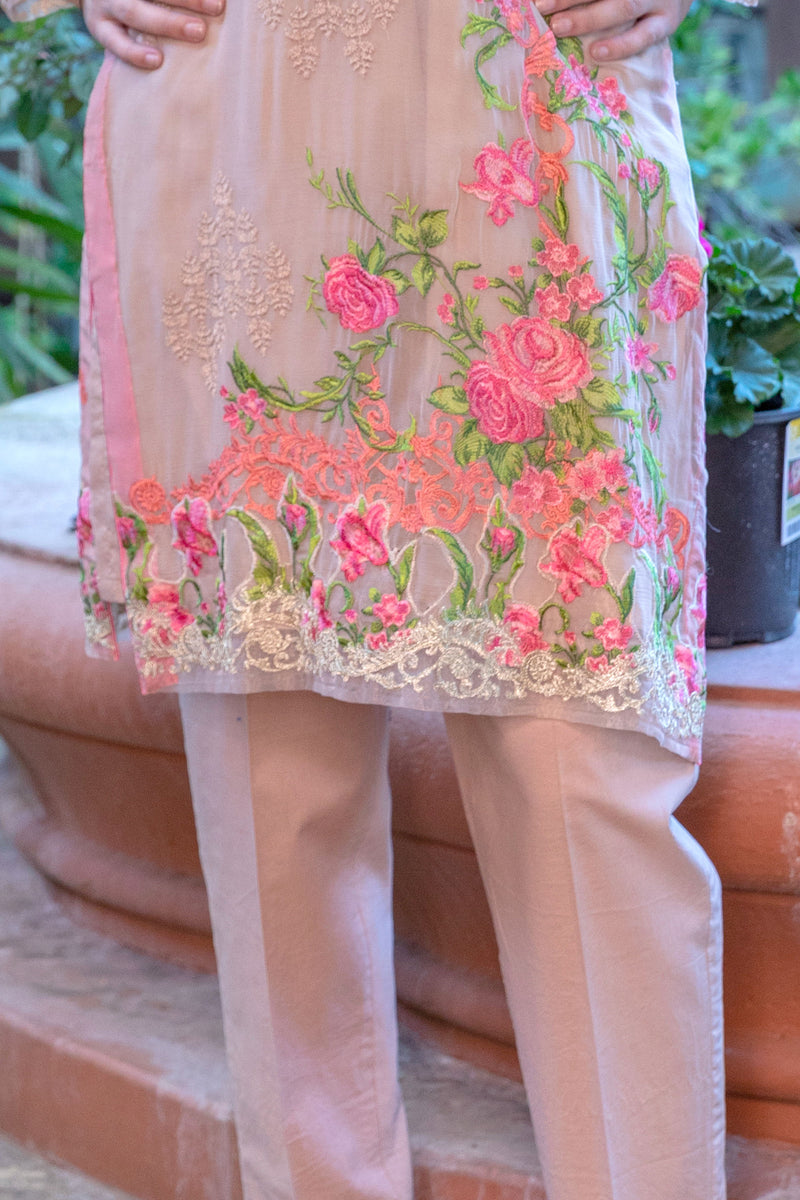 Tan Gulahmed Chiffon Embroidery Suit- Trendz & Traditionz Boutique 