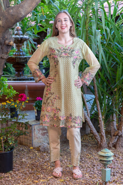 Tan-Pistachio Green Chiffon Salwar Kameez Suit with Embroidery- Trendz & Traditionz Boutique 