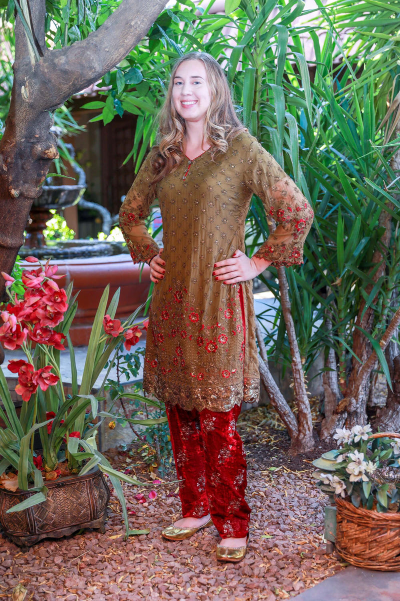 Brown Chiffon and Velvet Suit by Maria B - Trendz & Traditionz Boutique 