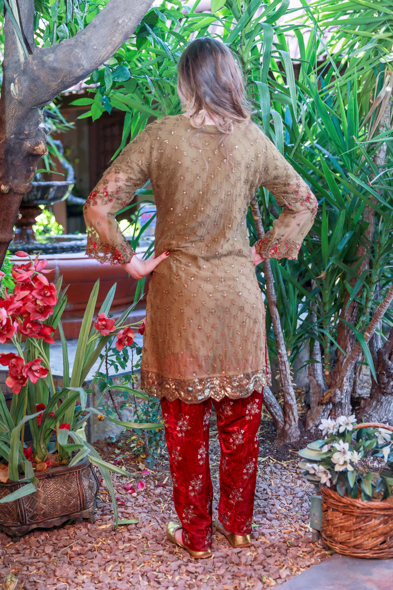 Brown Chiffon and Velvet Suit by Maria B - Trendz & Traditionz Boutique 