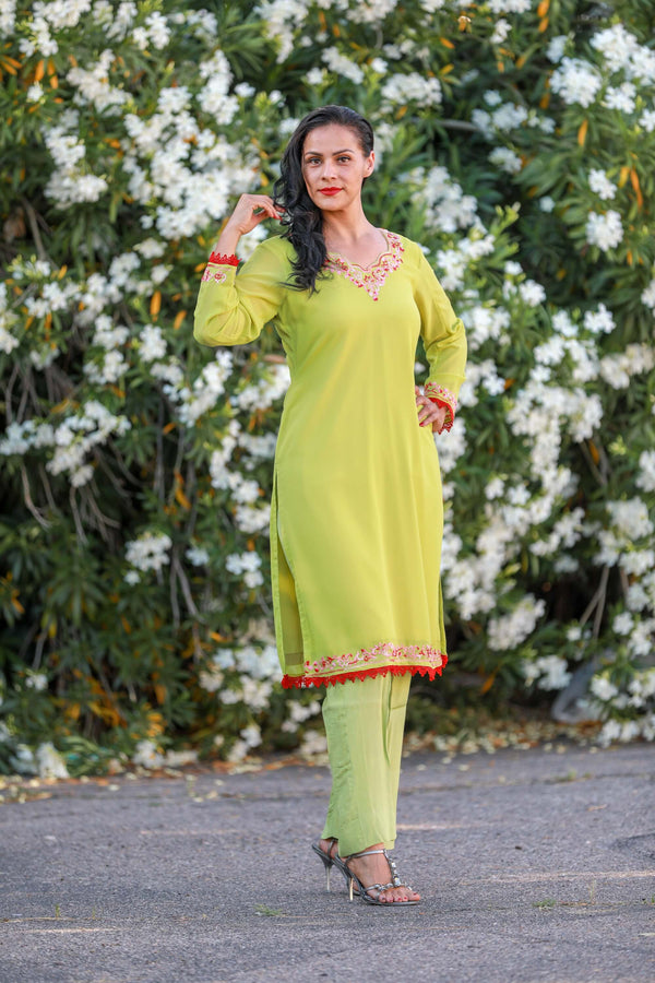 Lime Green Chiffon Salwar Kameez Suit - Trendz & Traditionz Boutique 