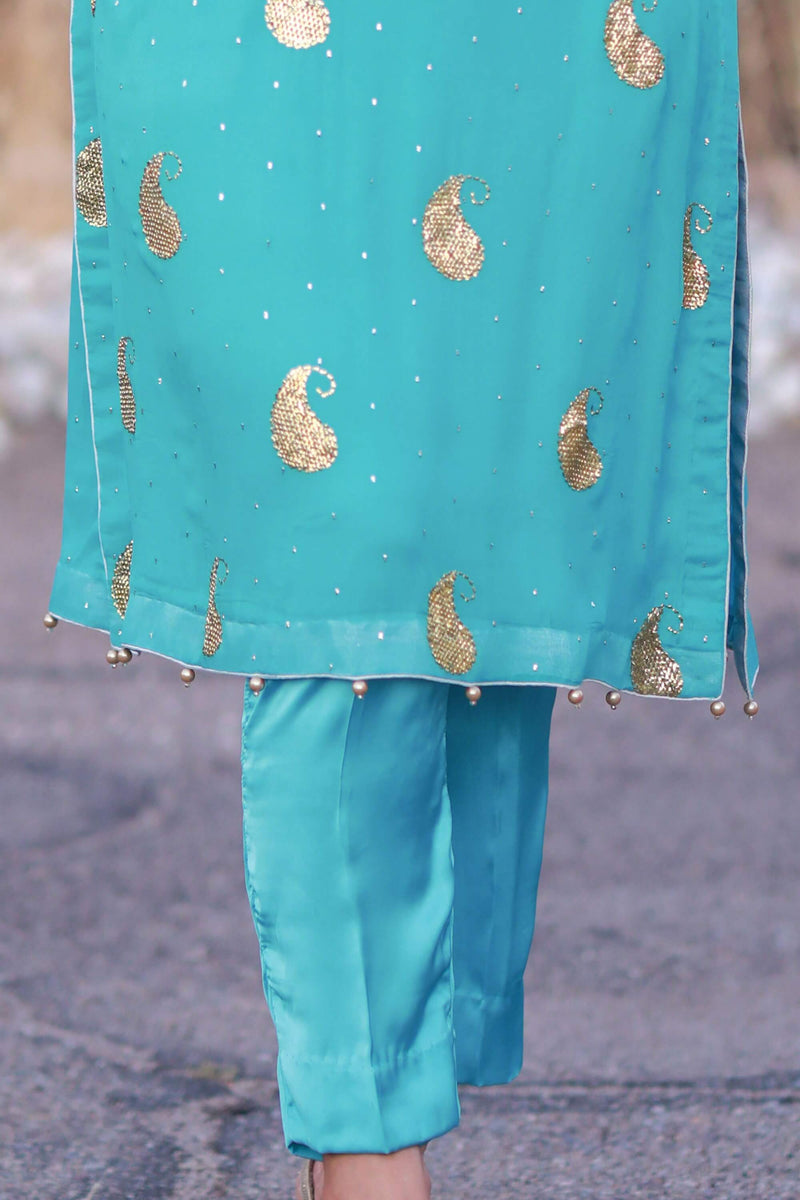 Blue Chiffon Suit - Salwar Kameez with Hand Embroidery - Trendz & Traditionz Boutique 