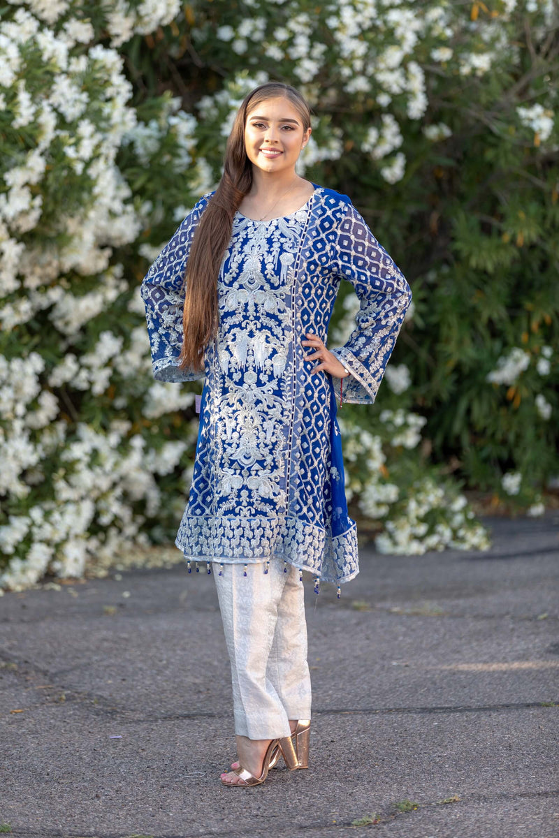Blue Chiffon Embroidered Suit - Trendz & Traditionz Boutique