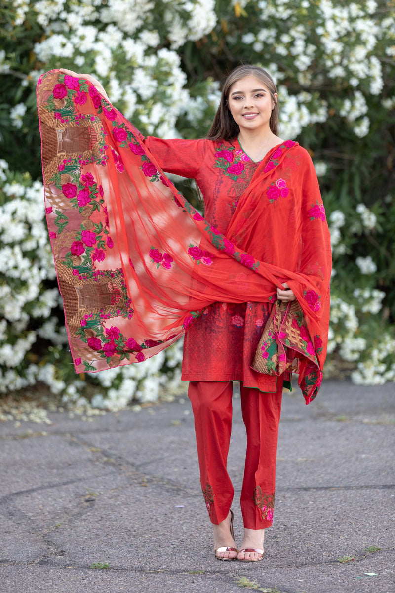 Red Chiffon Salwar Kameez Suit- Trendz & Traditionz Boutique