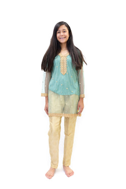 Gold Brocade Pant- Blue Net Shirt - Trendz & Traditionz Boutique