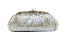 Satin Silver clutch with Crystals - Trendz & Traditionz Boutique