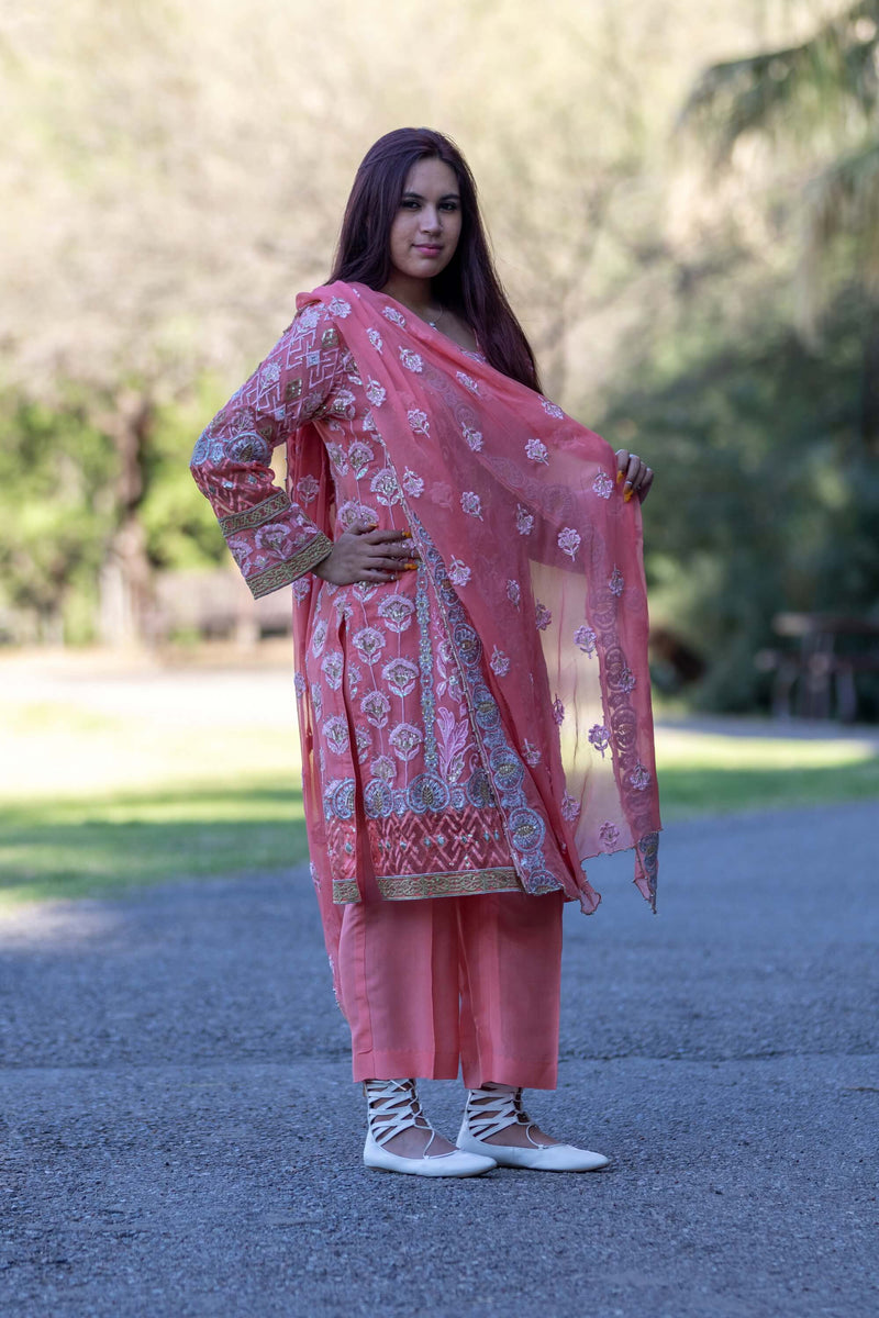 Chiffon Embroidered Suit-Salwar Kameez- Trendz & Traditionz Boutique 