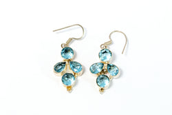 Blue Stone Dangle Earrings - Trendz & Traditionz Boutique