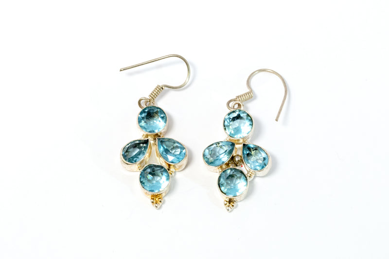 Blue Stone Dangle Earrings - Trendz & Traditionz Boutique