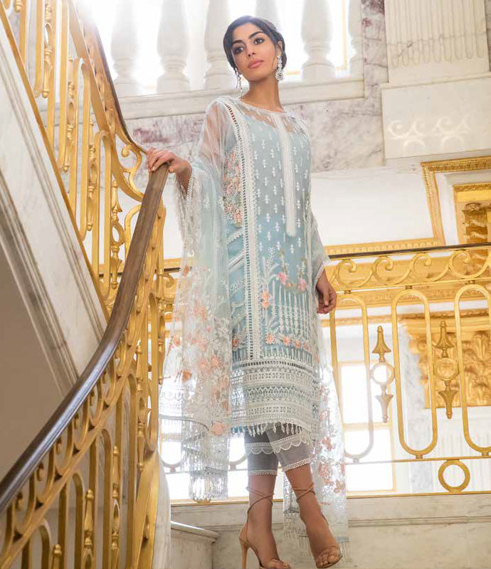 Blue Net Salwar Kameez-Suit - Trendz & Traditionz Boutique